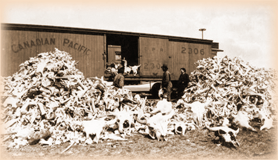 Shoot the guns of Buffalo Bill and Annie Oakley at the Cody Firearms Experience in Cody Wyoming